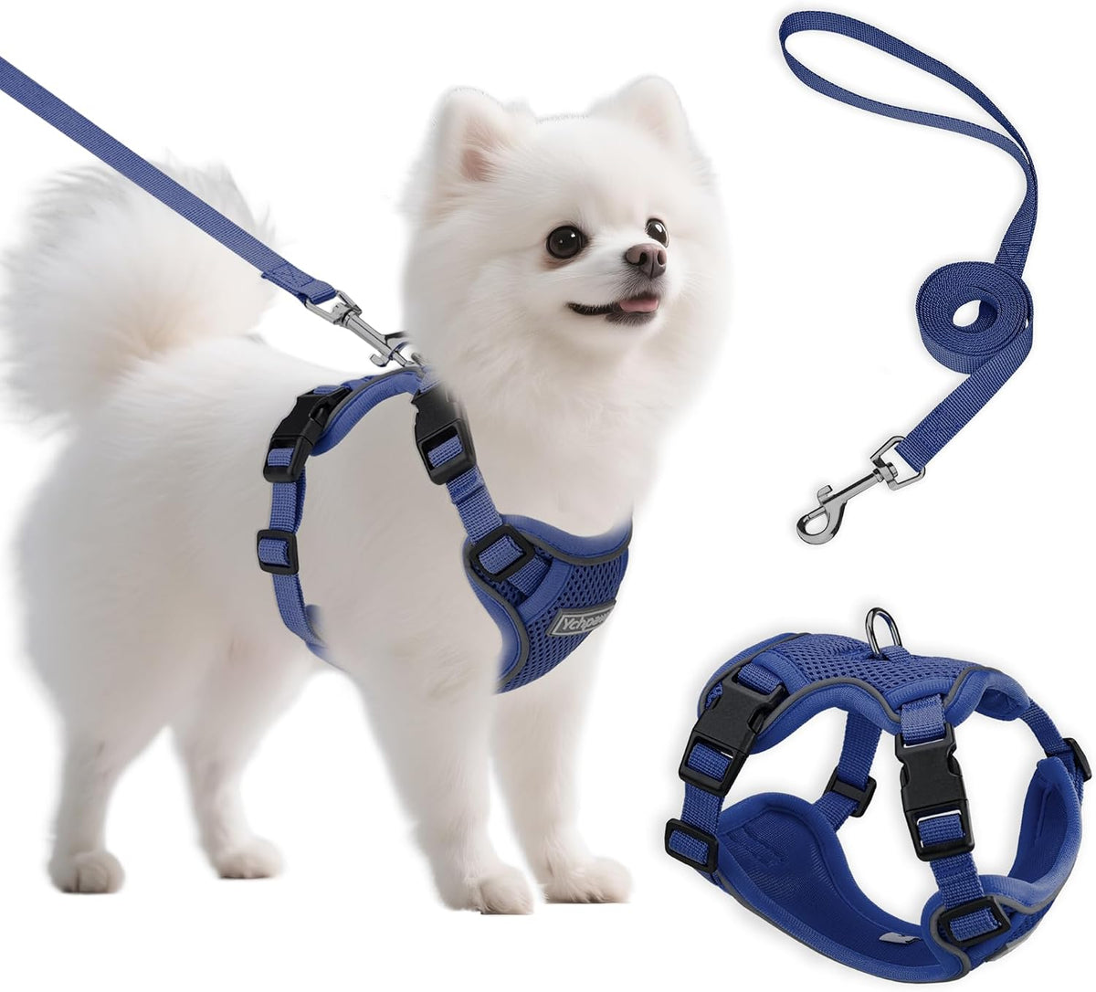Small Dog Harness and Leash Set, Adjustable Small Sized Pet Vest