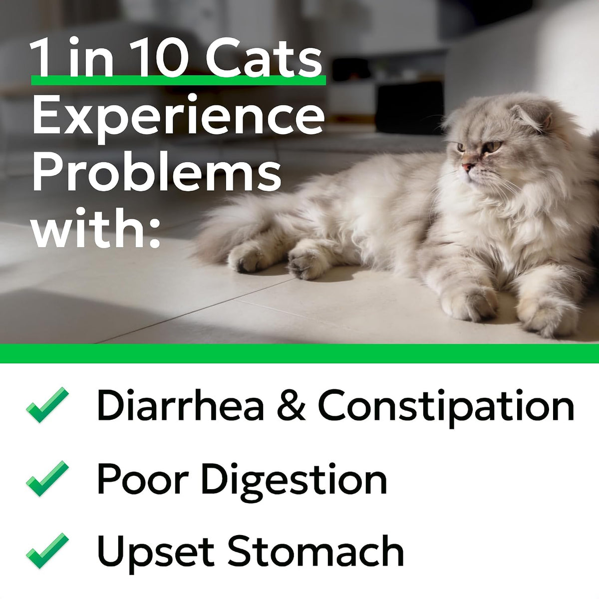 BARK&SPARK Cat Probiotic Powder, 108 Servings – Digestive Health Support