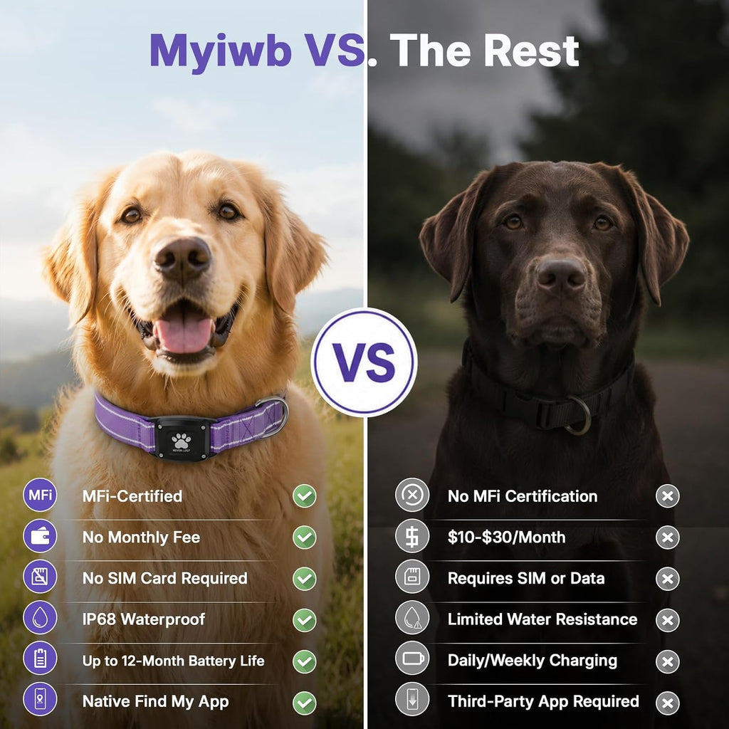 GPS Dog Collar with Tracker, Waterproof, No Monthly Fee, Purple, M
