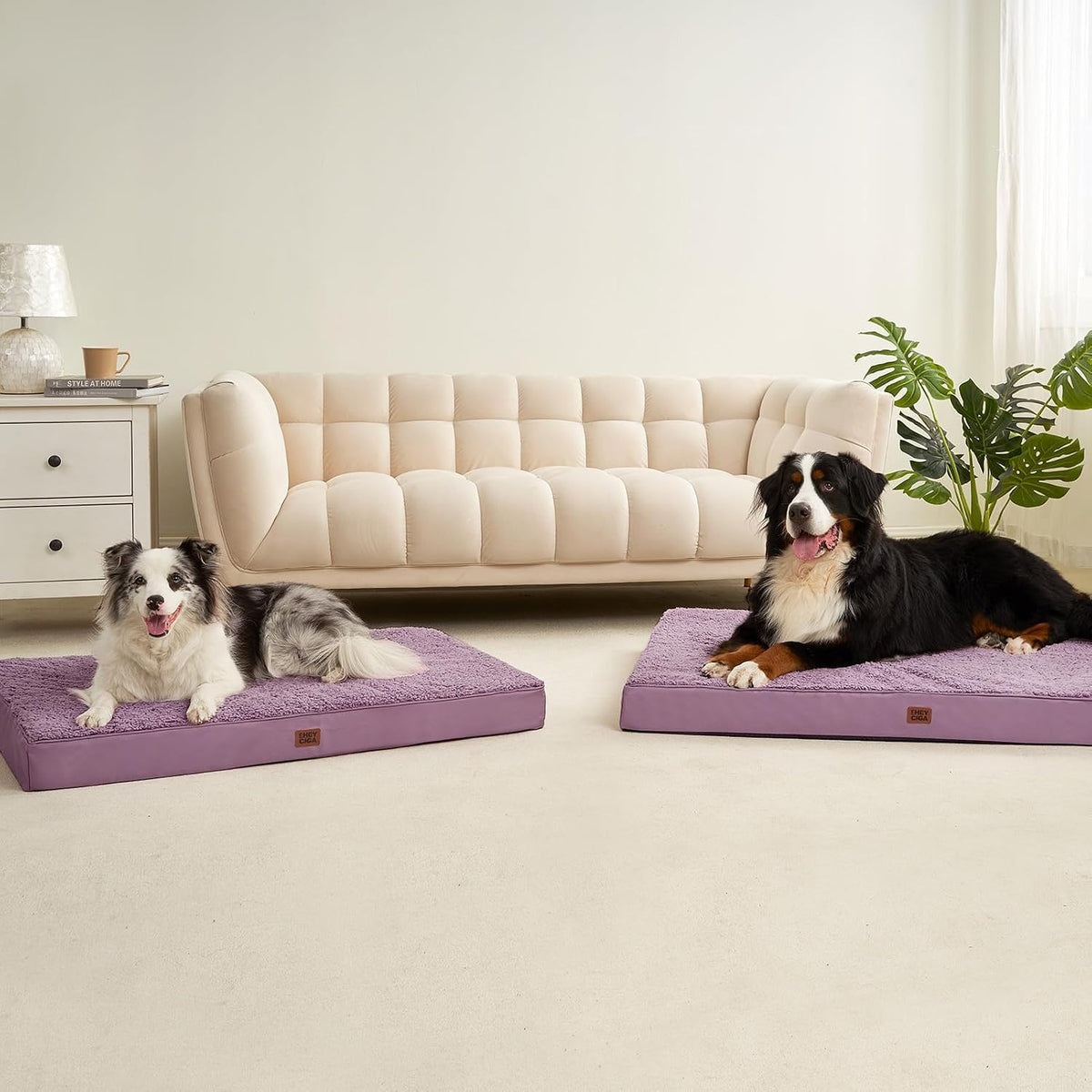 EHEYCIGA Orthopedic Dog Bed Medium with Removable Washable Cover, 30x20