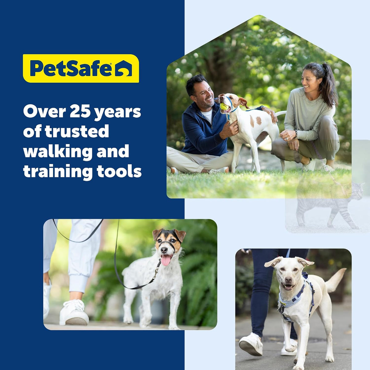 PetSafe Nylon Dog Leash - Strong, Durable, Traditional Style Leash with Easy to Use Bolt Snap - 3/8 in. x 6 ft., Royal Blue