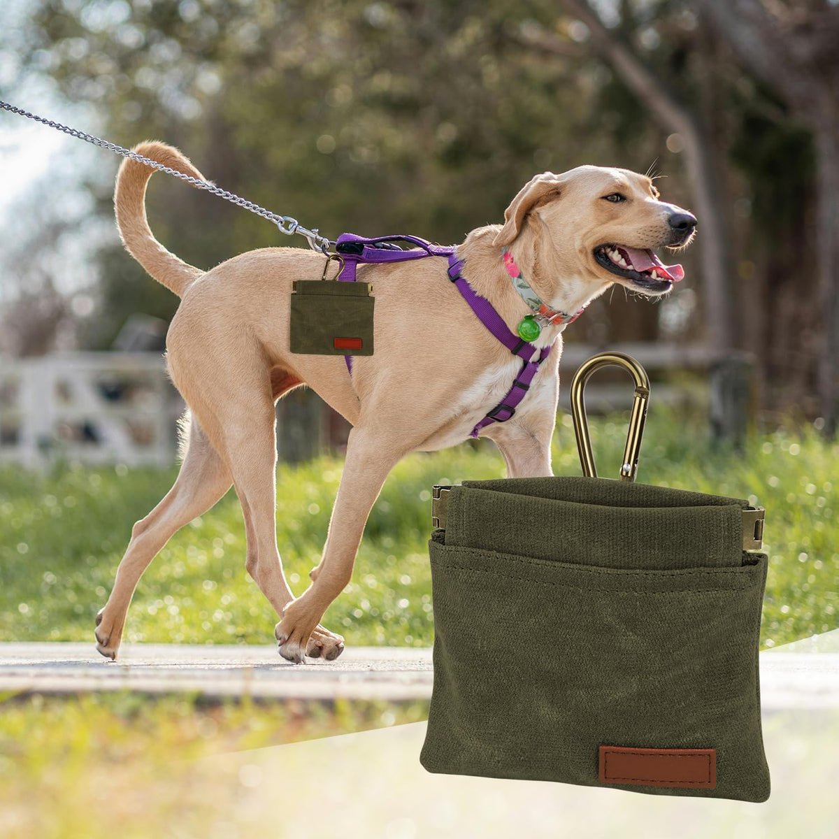 1 Pcs Pocket Pet Training Pouch,Dog Treat Pouch (Olive drab)