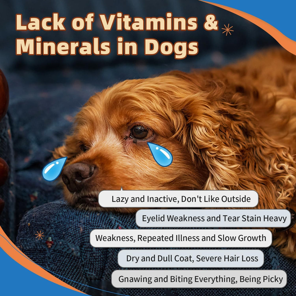 ZEBORA Dog Vitamins Powder - Multivitamin for Dogs & Cats - 90 Scoops