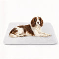 Dog Bed Floor Mat 38"x26", Washable Waterproof Non-Slip Thin Pad, M