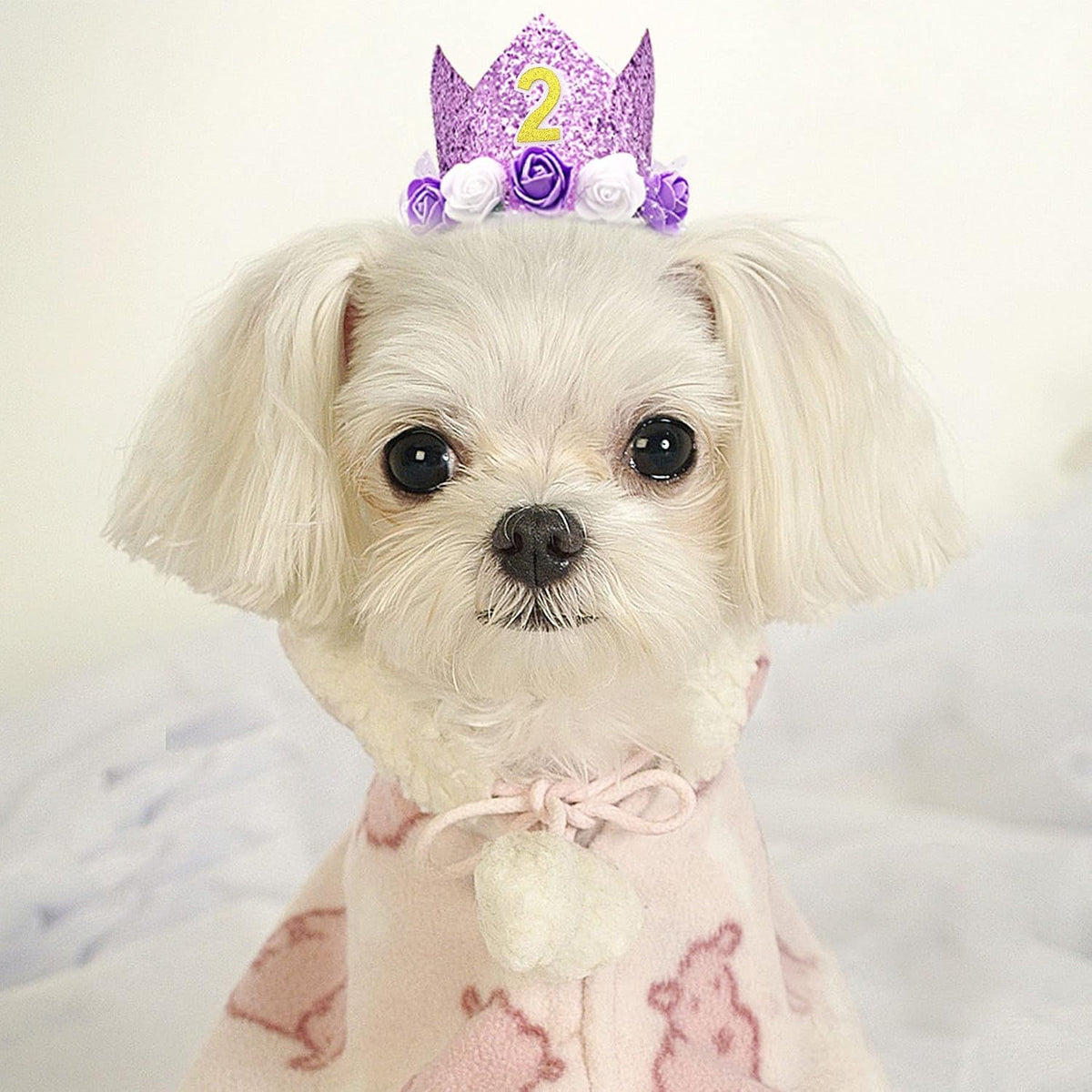 PET SHOW Purple Crown Dog Birthday Party Hat for Girls Reusable Party Supplies Cat Kitten Headband with 0-9 Figures Charms Costume Accessories with Glue