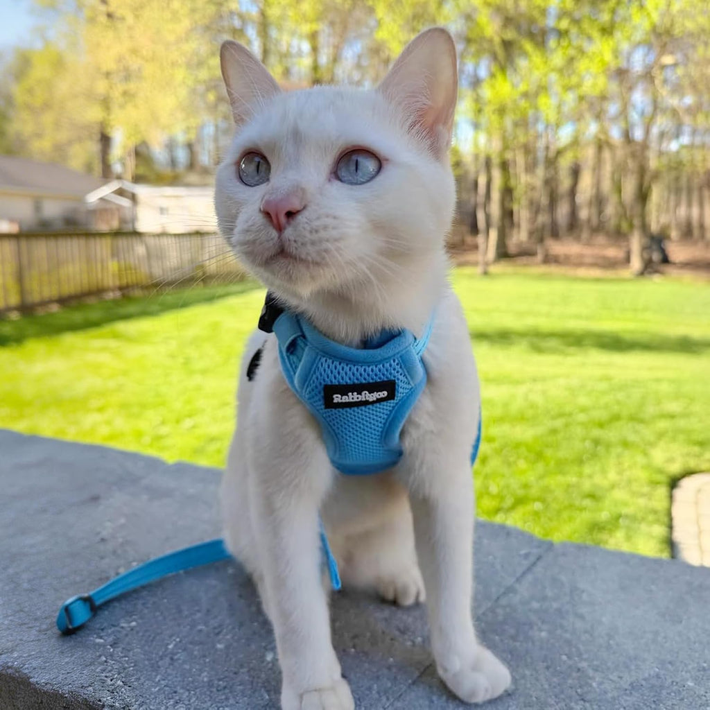 rabbitgoo Cat Harness and Leash, Easy-on with Neck Buckle, Sky Blue
