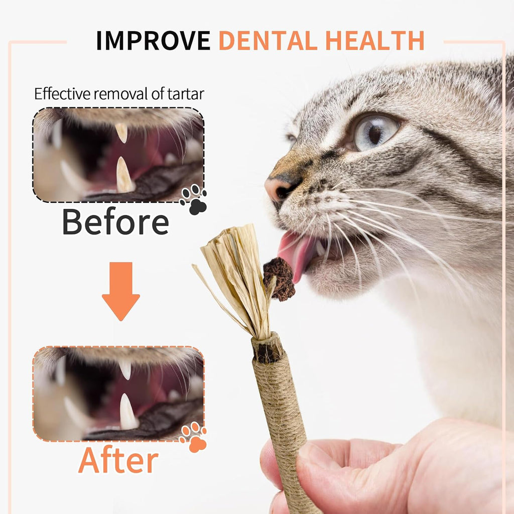 Natural Silvervine Sticks 3Pcs, Cat Chew Toys for Kitten Teething | Silvervine Dental Sticks for Cats & Kittens, Matatabi Chew Toys for Teeth Care, Anxiety Relief & Furniture Protection