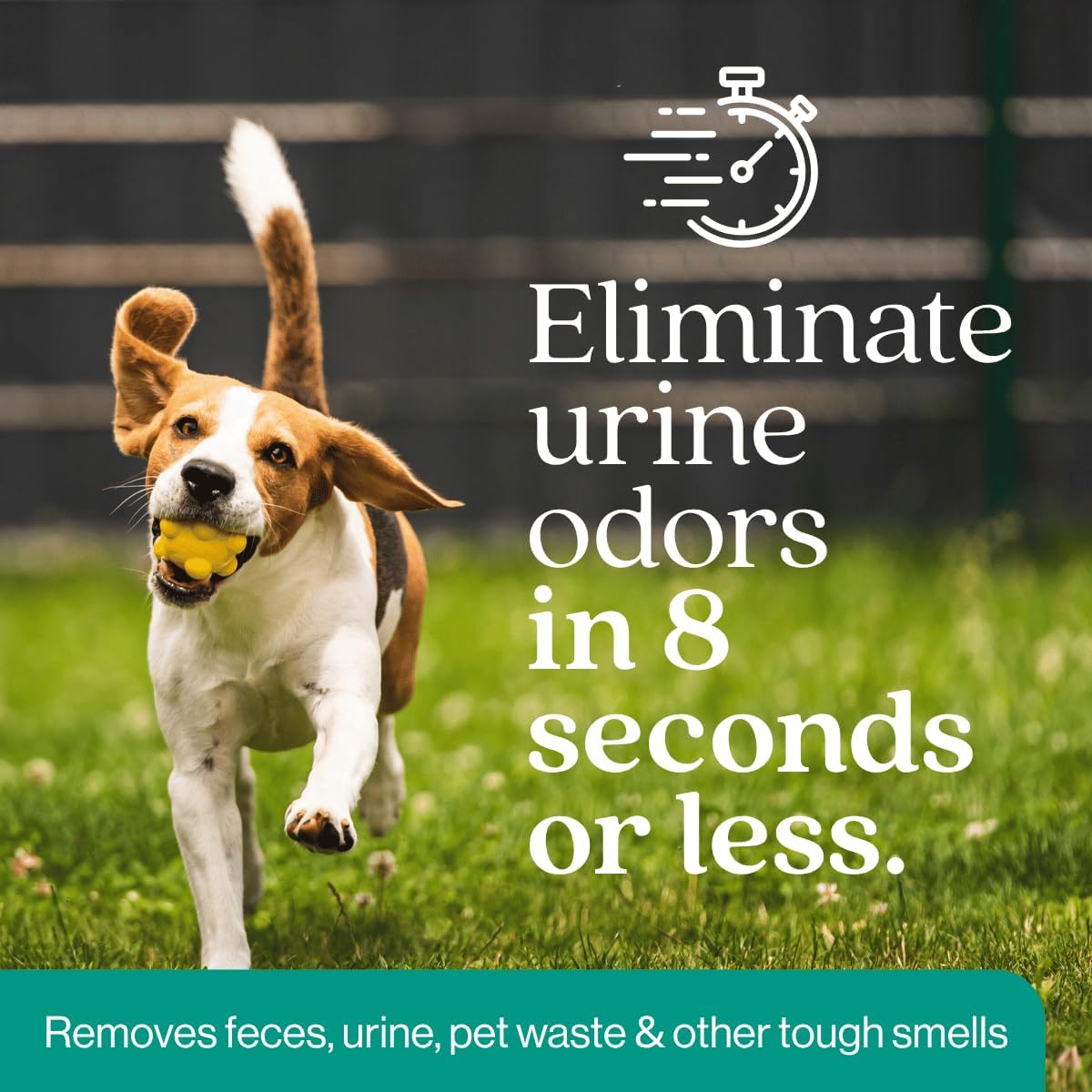 Eco Strong Outdoor Odor Eliminator | Outside Dog Urine Enzyme Cleaner – Powerful Pet, Cat, Animal Scent Deodorizer | Professional Strength for Yard, Turf, Kennels, Patios, Decks (Gallon with Sprayer)