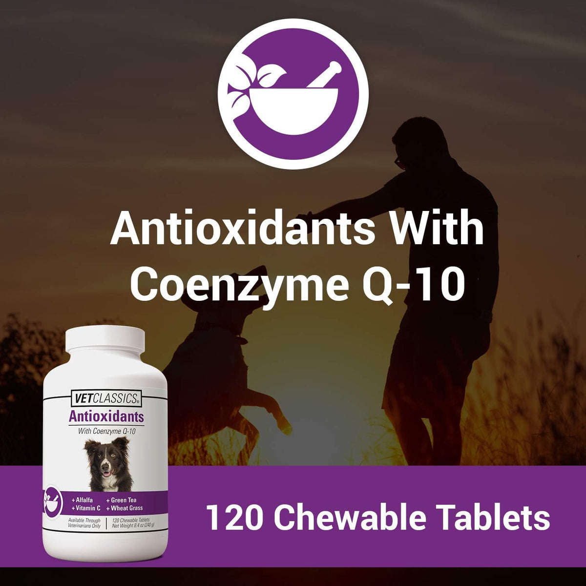 Vet Classics Antioxidants Supplement with Coenzyme Q-10 for Dogs - 120 Ct