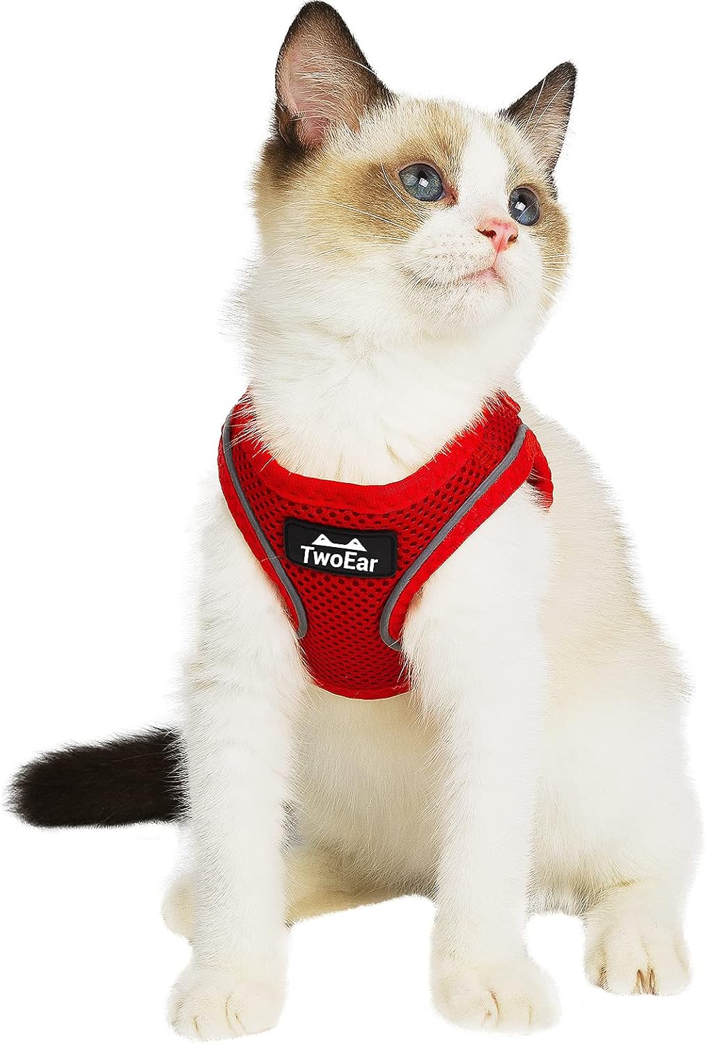 Twoear Cat Harness and Leash Set, Escape Proof Kitten Harness for Walking