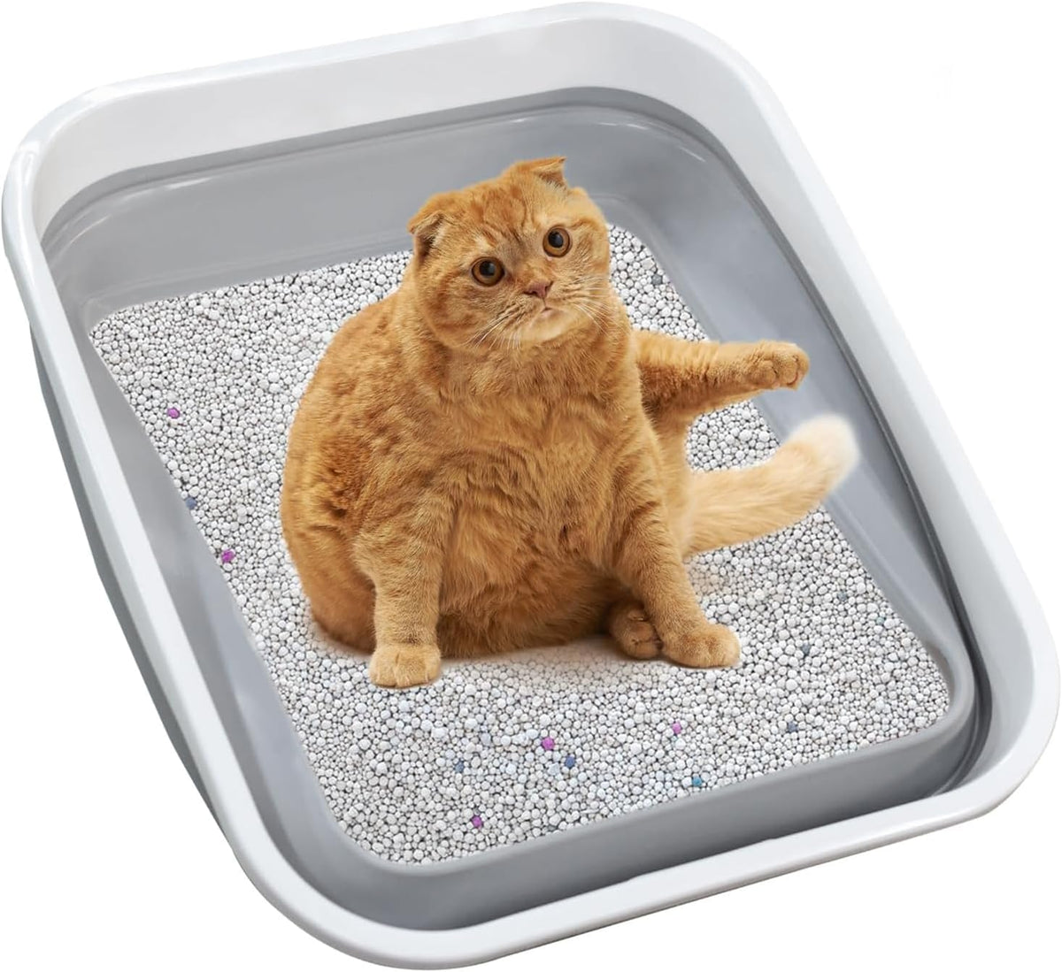 Low Entry Senior Cat Litter Box for Arthritic, Frail and Disabled Cats | Open Foldable Plastic Cat Litter Box Space Saving Corner Design Portable and Easy to Clean Cat Toilet (Grey)