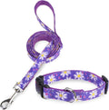 Dog Collar and Leash Set, Adjustable Pet Collars with 5FT Leash