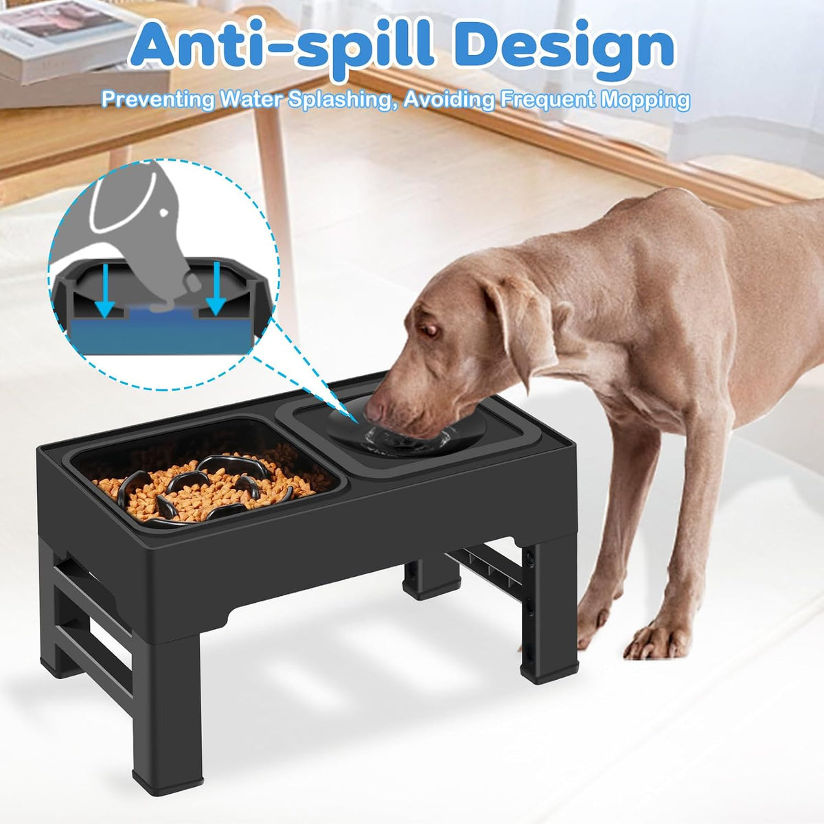 2-in-1 Elevated Dog Bowls, No Spill Water Bowl, Slow Feeder Food Bowl
