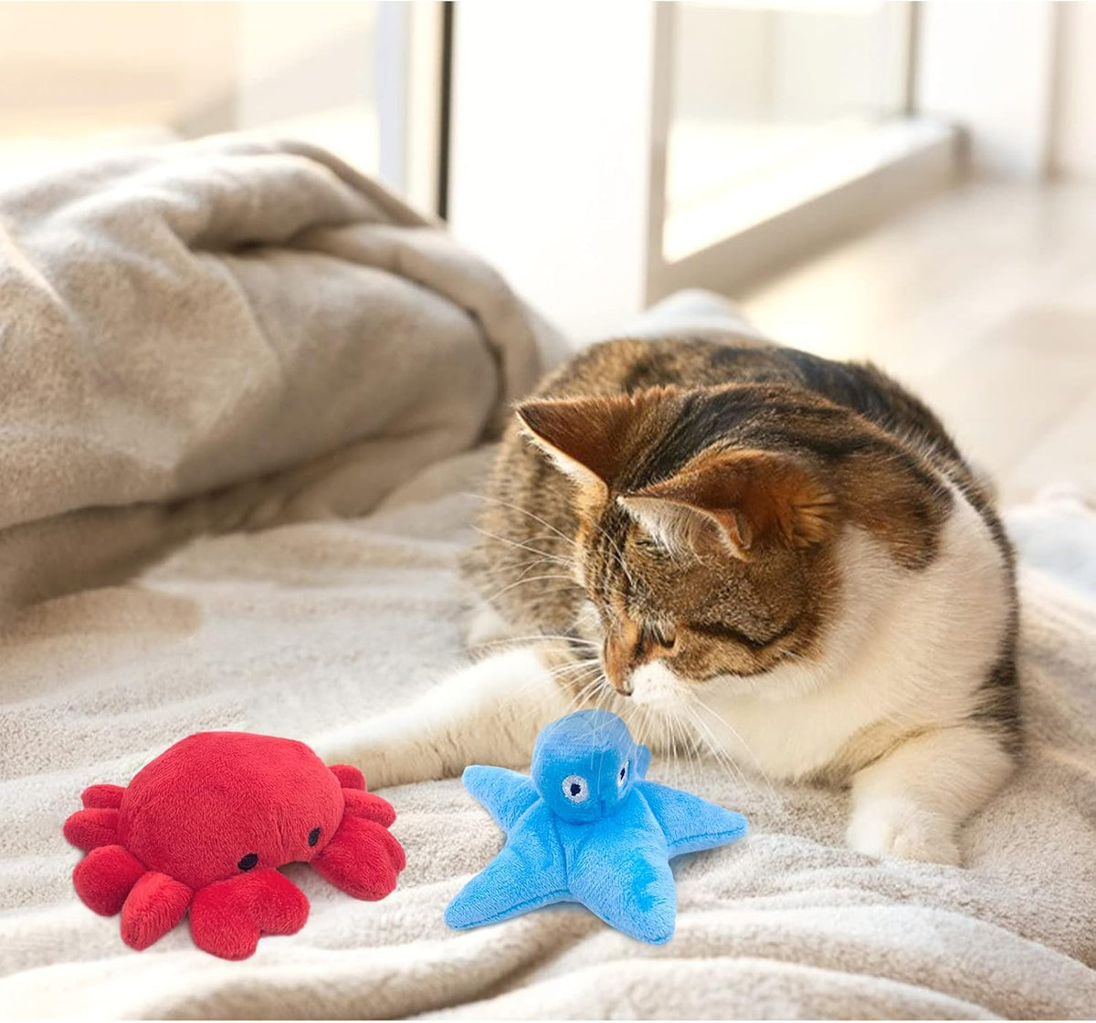 Andiker Cat Catnip Toys, 2Pcs Soft Crab&Starfish Plush Cat Toys for Indoor Cats Cute Catnip Chew Toys PP Cotton Filled Pet Toys for Kitten Gifts and Cat Lovers Interactive Catnip Toys (Crab+Starfish)