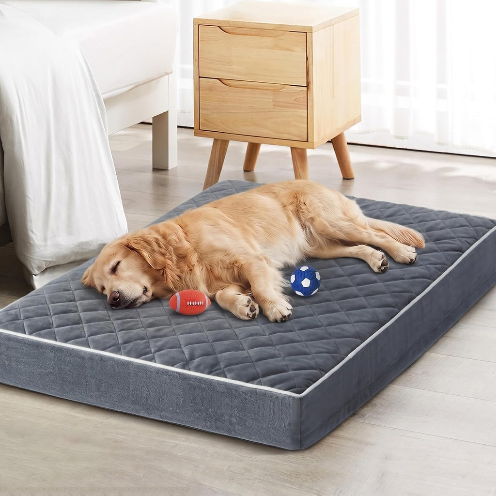 WNPETHOME Orthopedic Giant Human Dog Beds for Adult & Dog Cozy Sleep