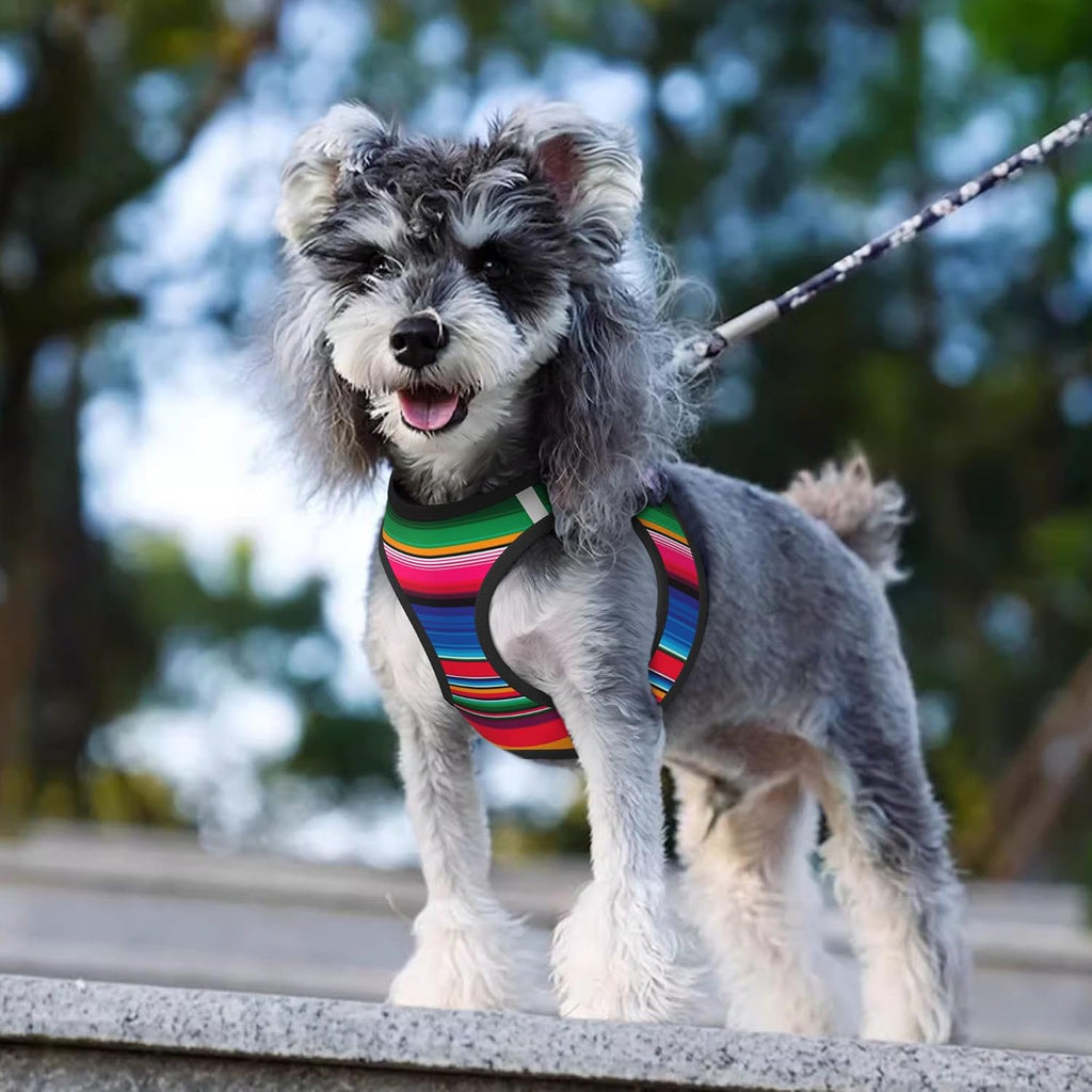MUKIO Mexican Serape No Pull Dog Harness Vest