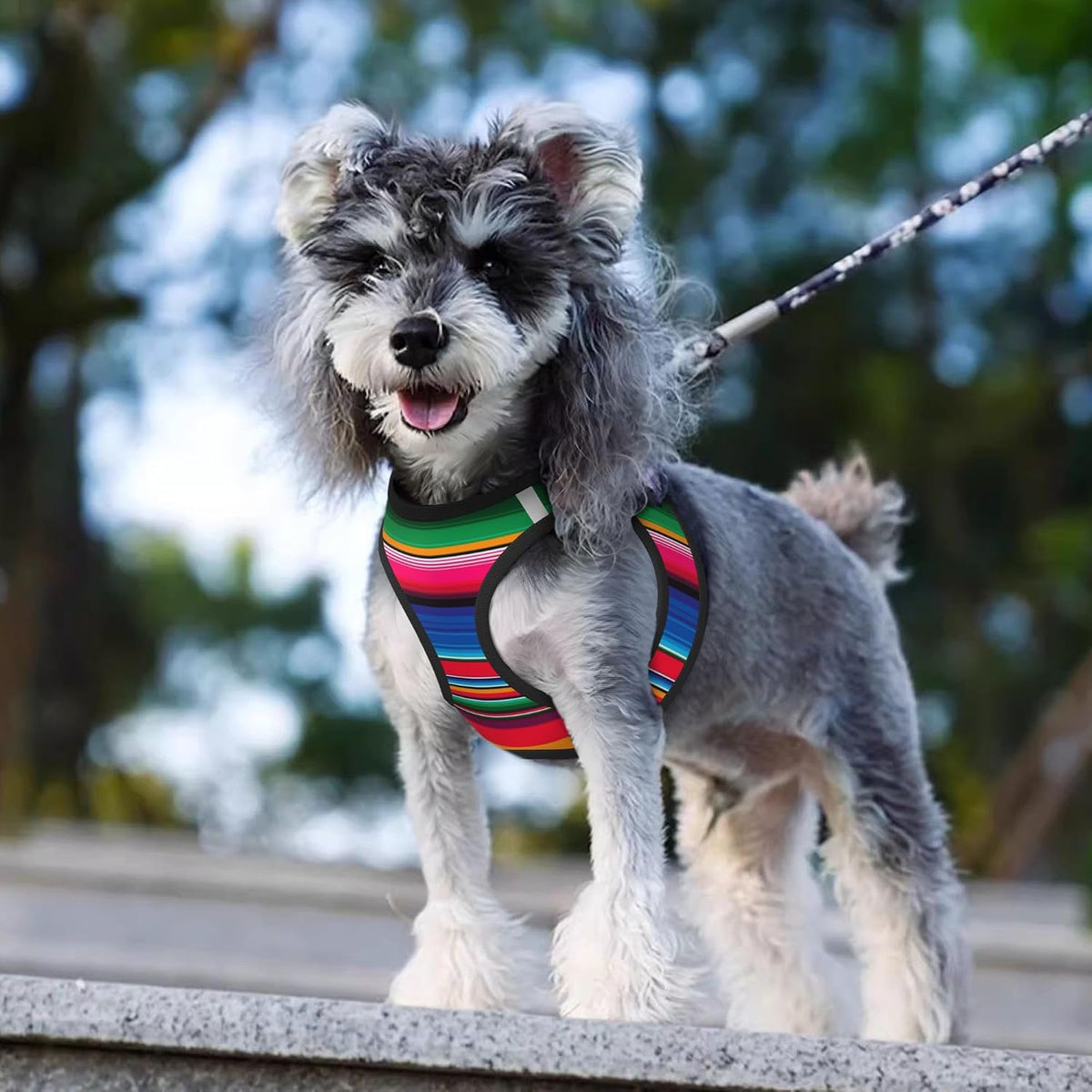 MUKIO Mexican Serape No Pull Dog Harness Vest