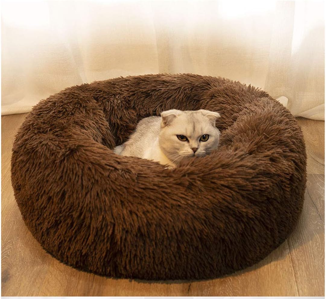 Cat Bed for Indoor Cats,Mini Plush Self Warming Kitten Bed, 20 Inch