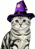 NAMSAN Pet Witch Costume for Cats Small Dogs Rabbits, Halloween Cat Wizard Hat, Small Dog Witch Hat, Halloween Cat Sorcerer Outfit for Holiday Party Cosplay Statue Decoration