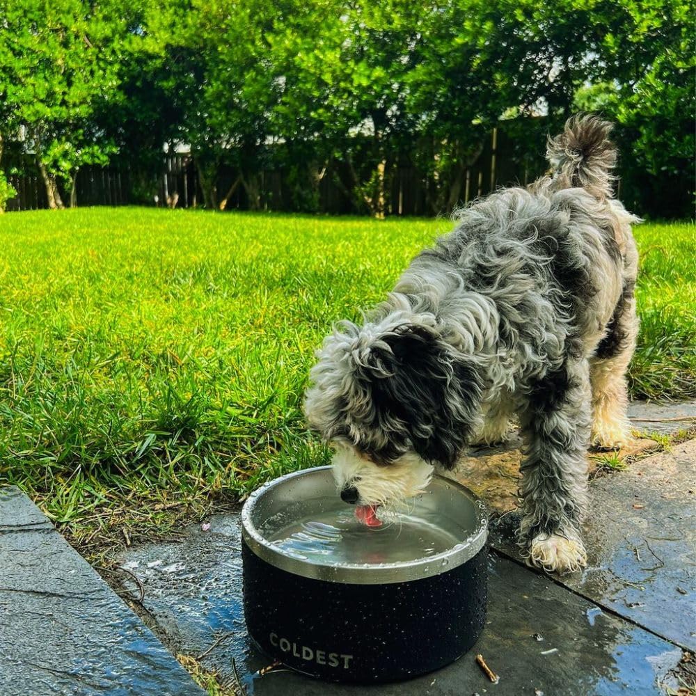 Coldest Dog Bowl - Anti Rust Metal, Non Slip, 3 Layers Insulated Stainless Steel Dog Bowls - Spill Proof & Heavy Duty - Water Bowl for Dogs, Cats, Dish Washer Safe (100 oz, Saturns Purple Glitter)