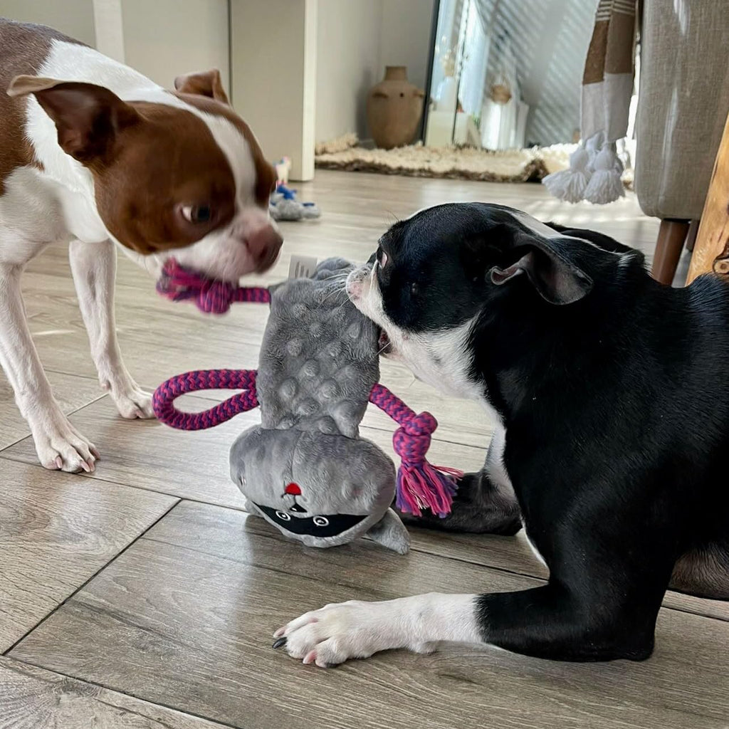 rocket & rex Puppy Chew Toys, Stuffing-Free Rope & Plush Set (3pk) | For small-medium breeds. Stuffing-free rope, rubber squeaker & plush toys. Reduces destructive chewing and anxiety.