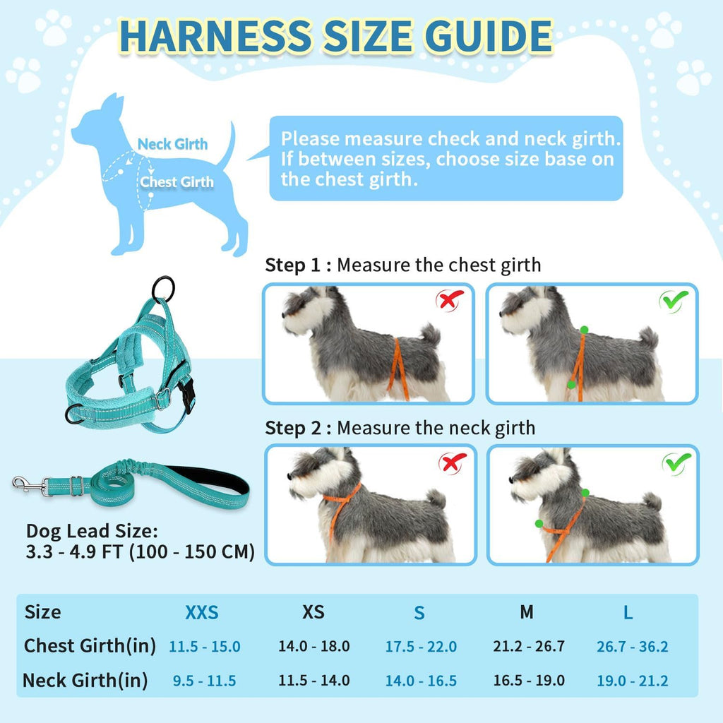 SlowTon No Pull Small Dog Harness and Leash Set with Front Clip