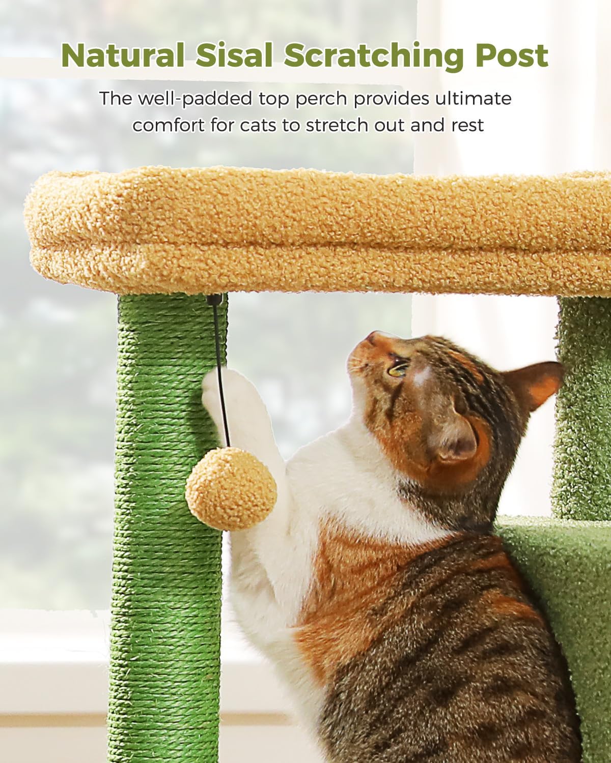 Small Cat Tree for Kittens, 32 in Cat Tower with 2 Cozy Condos