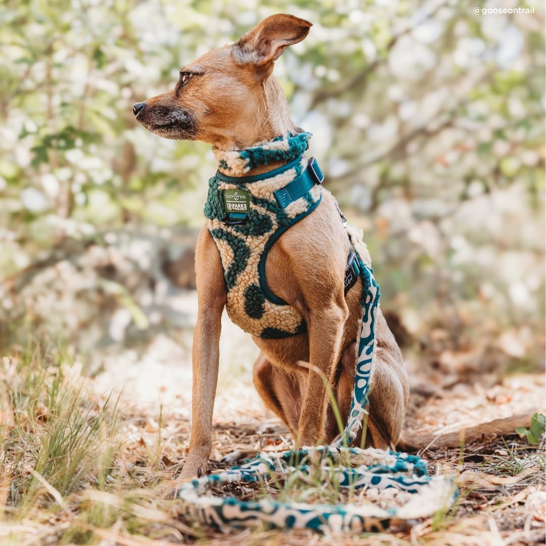 Lucy & Co. x Parks Project Geyser Fleece Dog Leash, S