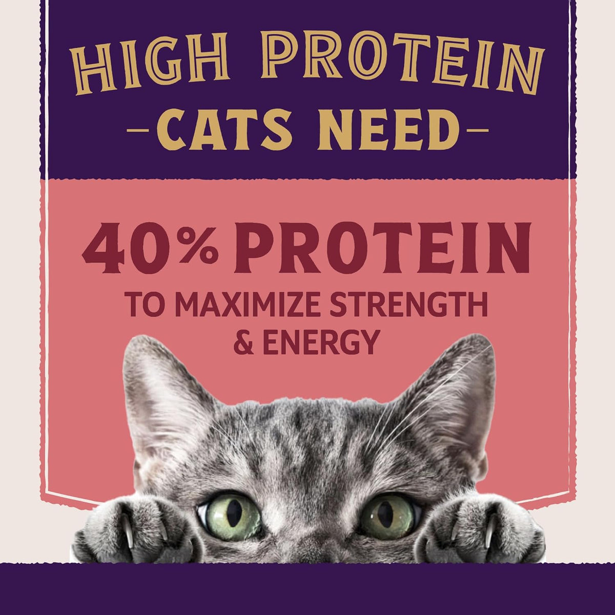 Natural Balance Ultra Protein Plus, Real Salmon & Chicken Meal, 2.5 lb