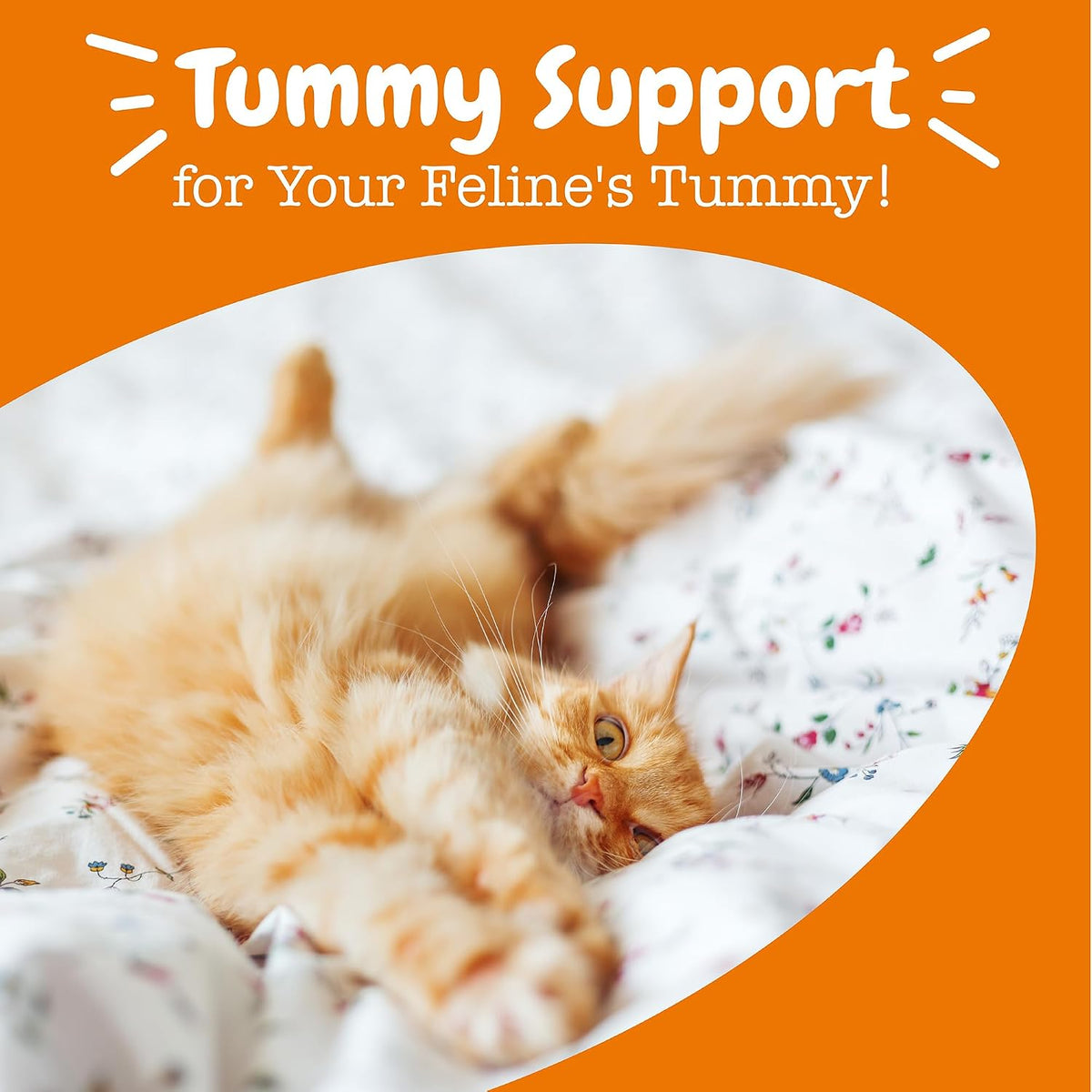 Zesty Paws Cat Probiotic Powder - Meal Topper for Cats, Pumpkin, 30 Ct