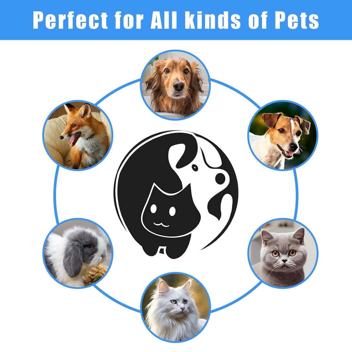 Pet Grooming Kit with Pet Shedding Slicker Brush, Bath Massage for Rabbit, Puppy, Kitten, All Hair Types, Includes Multiple Combinations of Combs and Brushes