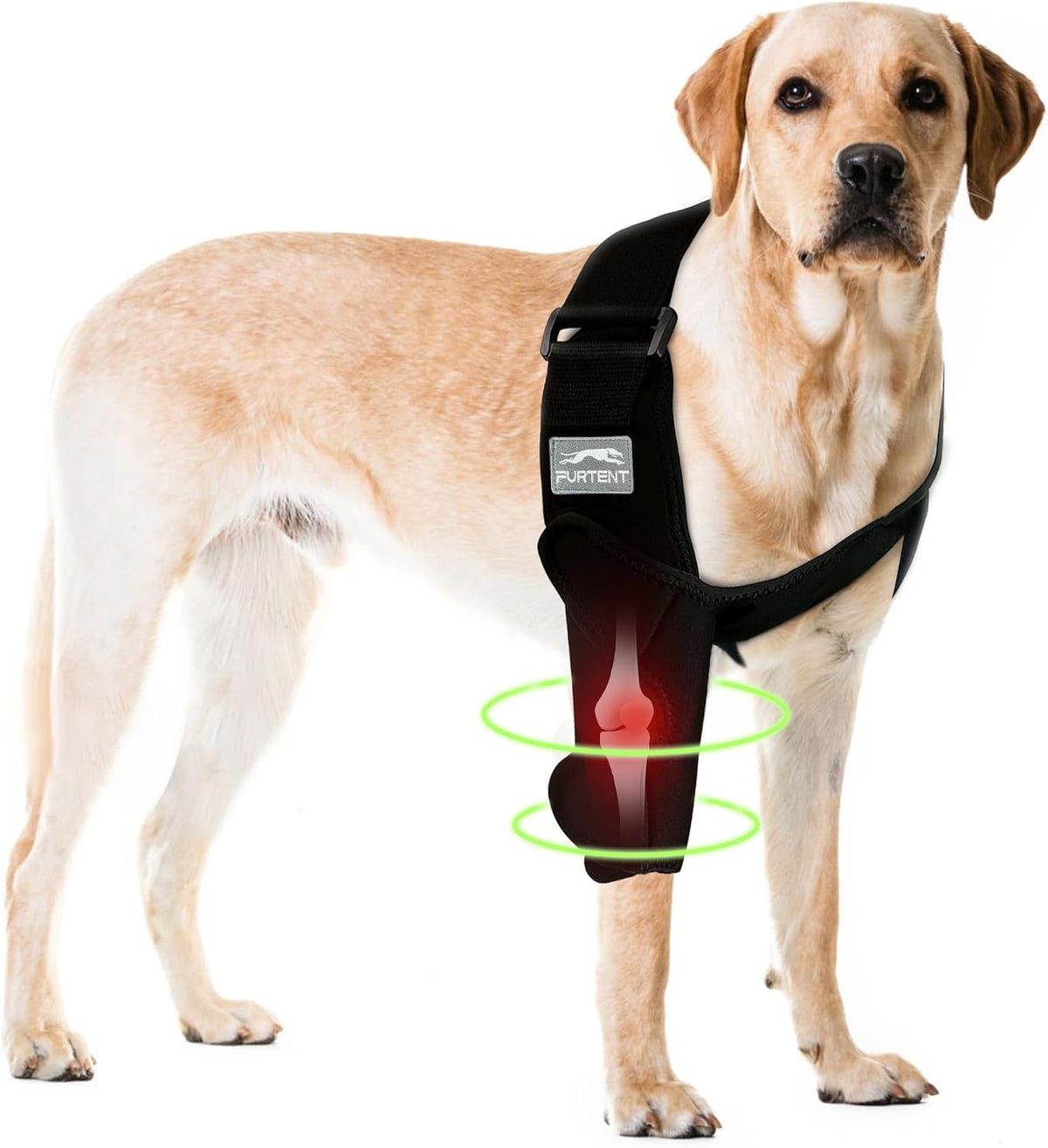 Dog Front Leg Brace for Elbow Dysplasia, Shoulder Dislocation, Hygroma, Pet Prevent Licking Wound Elbow Protector, Avoid Cone of Shame, Abrasion Resistant Dog Recovery Sleeve, M