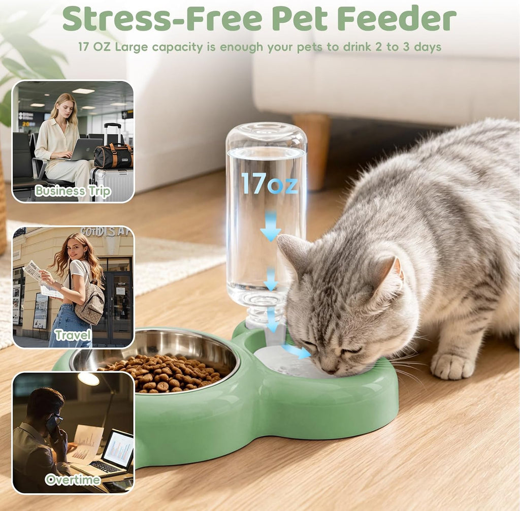 2-in-1 Dog Cat Bowl, Cat Food and Water Bowl Set, Green