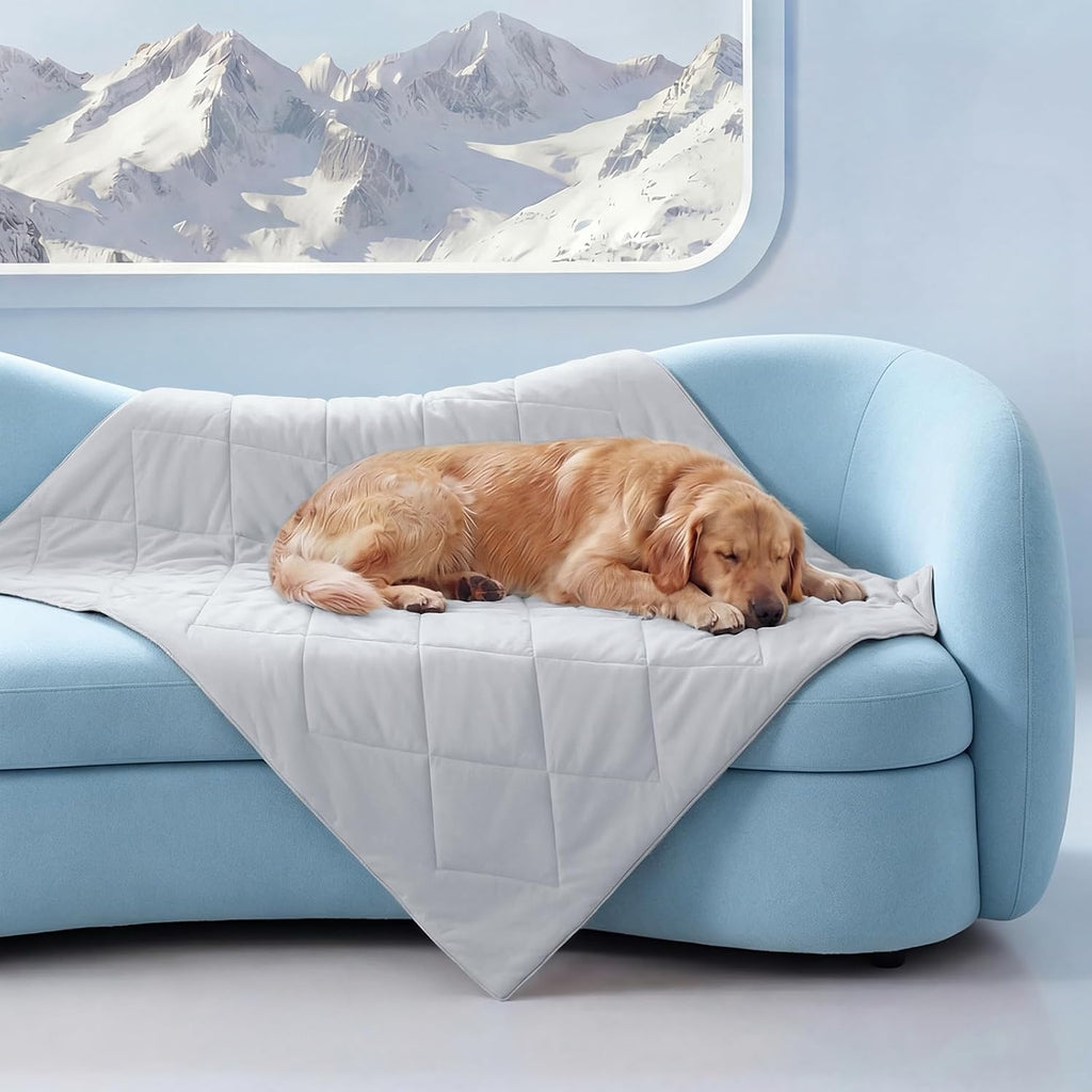 Luciphia Silky Cooling Dog Blanket Q-MAX>0.4 Throw Cat Mat Light Grey,40x60