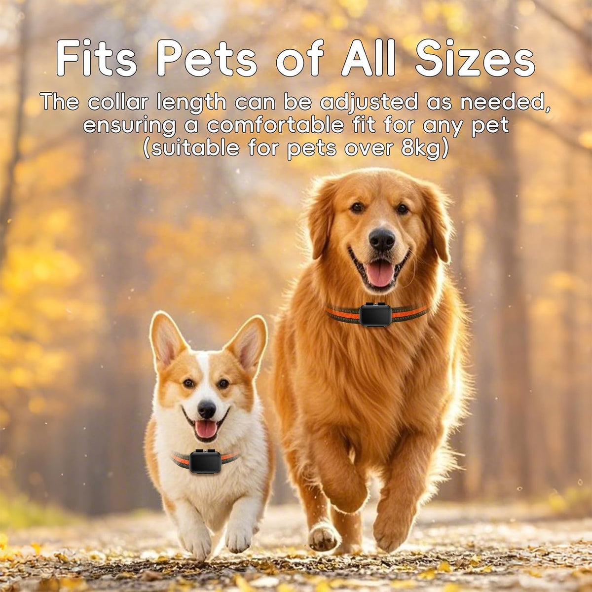 GPS Tracker for Dogs, 4G Waterproof Pet Tracker, Small