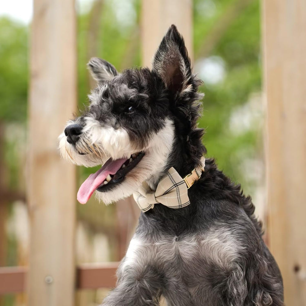 Beirui Cute Small Dog Harness and Leash Set Bowtie, Beige,XS,Chest 13-28"