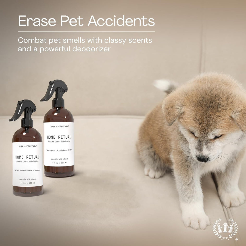 Muse Apothecary Home Ritual Active Odor Eliminator Spray - Furniture Deodorizer Spray & Bathroom Odor Eliminator for Home - Essential Oil Air Freshener - 8oz, Tonka Bean + Amber + Warm Cedarwood