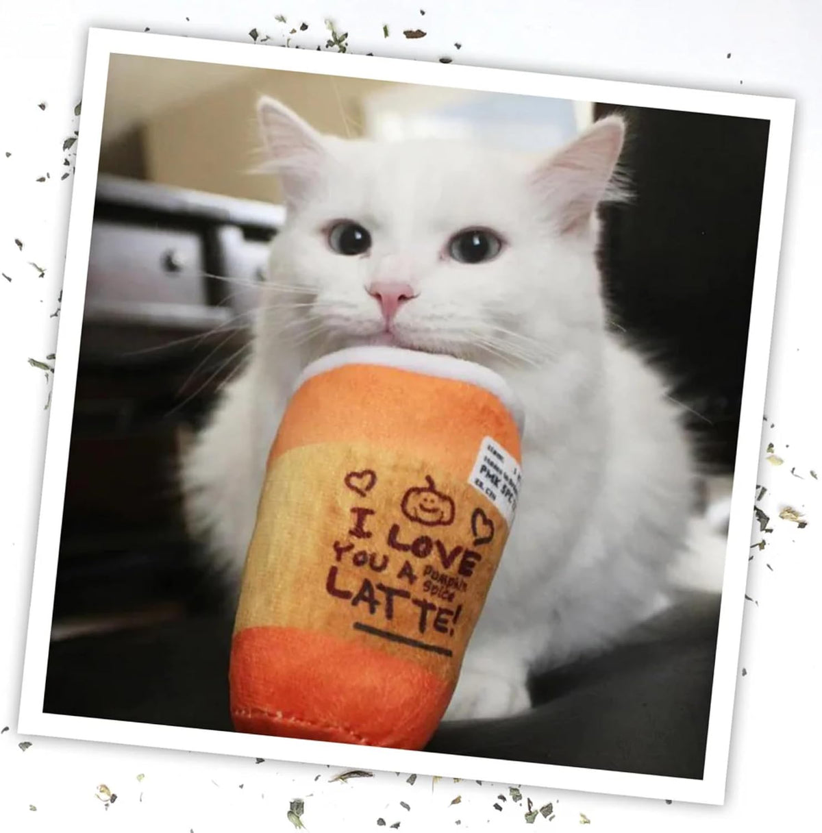 Meowijuana Fall Pumpkin Spice Latte Cat Toy and Blend Bundle | High-Potency