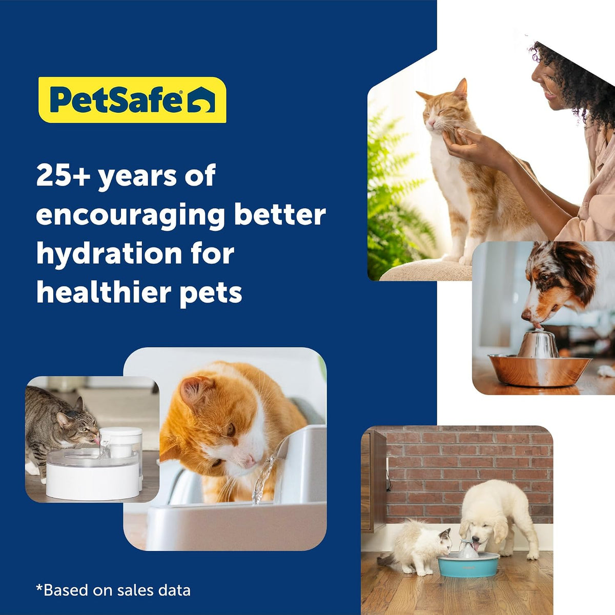 PetSafe Oasys Pet Fountain, 2 Gallon (256 oz), Cats, Dogs & Multi-Pet Homes