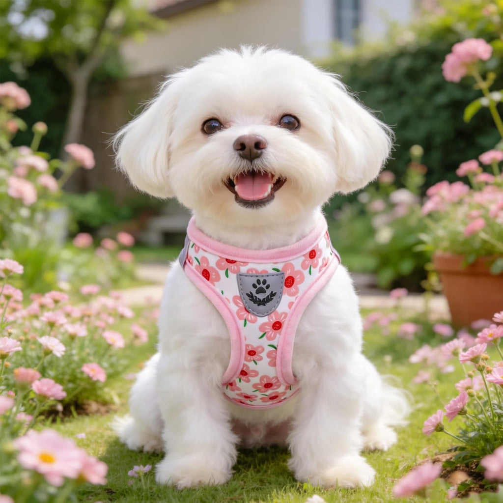 SCENEREAL Small Dog Harness Collar and Leash Set,Cute Puppy Harness No Pull