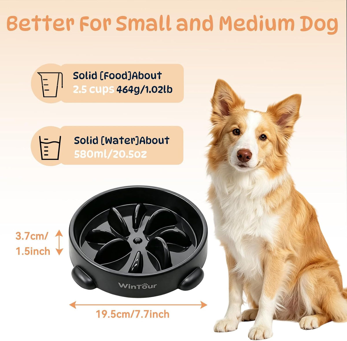 WinTour Slow Feeder Dog Bowls for Small Medium Pets, Round PP Dish, 1 Pack