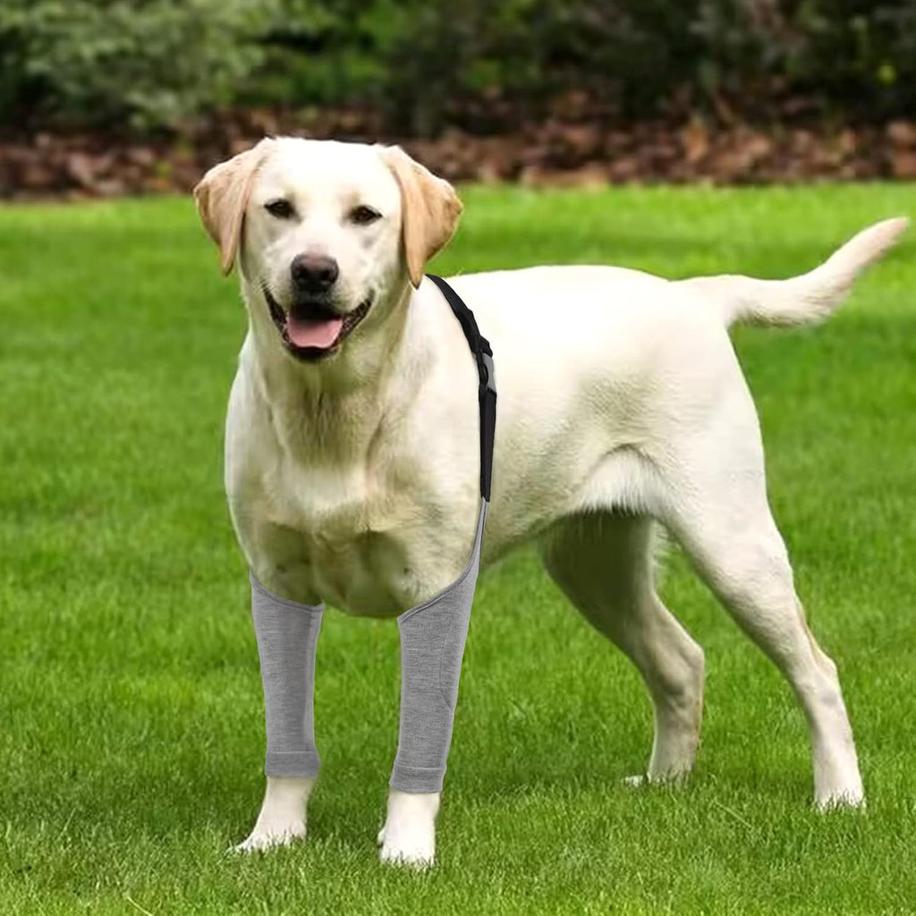 IDOMIK Dog Recovery Suit for Front Legs, Dog Recovery Sleeves,Grey,2XL