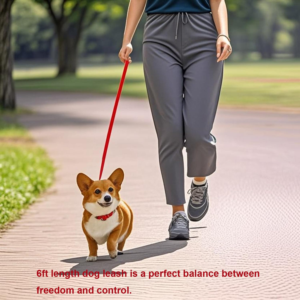 6 FT Puppy Leashes, Strong Traditional Style Leash with Easy to Use Collar Hook,Dog Lead Great for Small and Medium and Large Dog (Red, 5/8 in x 6 ft) (Pack of 2)