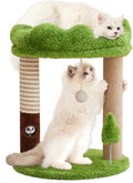 WOOCHPET 21" Small Cat Tree with 2 Scratching Posts and Perch Bed