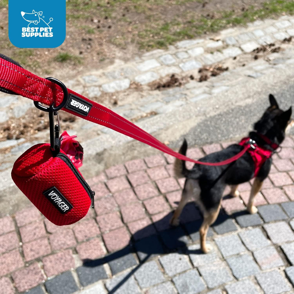 Best Pet Supplies Dog Poop Bag Holder Leash Attachment with Reusable Dispenser for Travel, Walking, Park, and Outdoor Use, Durable with Clip-On - Royal Blue, Mesh Dispenser w/15 Bags