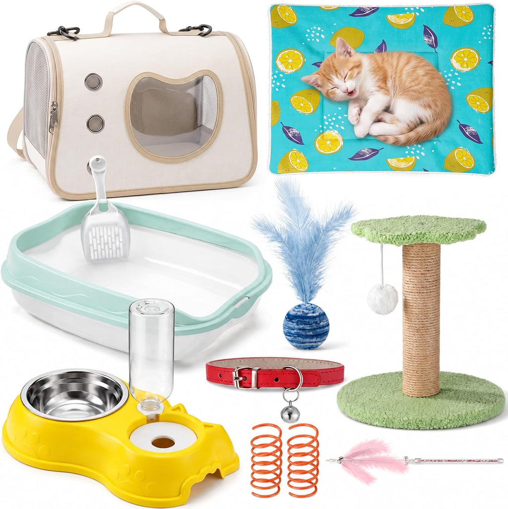 Eccliy 10 Pcs Kitten Starter Kit for Indoor, Cute, Small, Multicolor