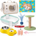 Eccliy 10 Pcs Kitten Starter Kit for Indoor, Cute, Small, Multicolor
