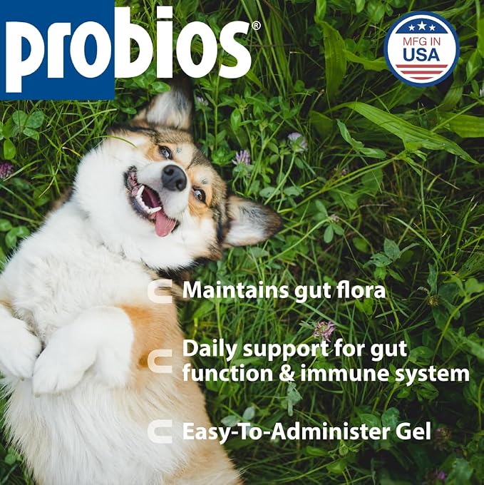 Probios Probiocin Oral Gel for Dogs & Cats, 15 g Tube