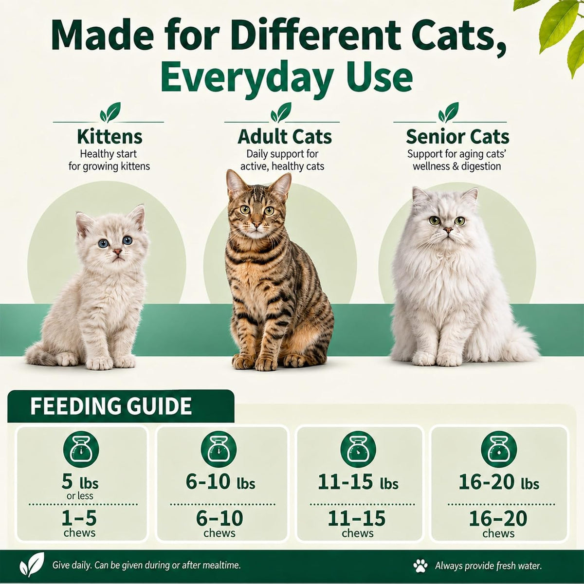 Cat Probiotics Chews 500 Count, Omega 3 Fish Oil Skin Coat Gut Support