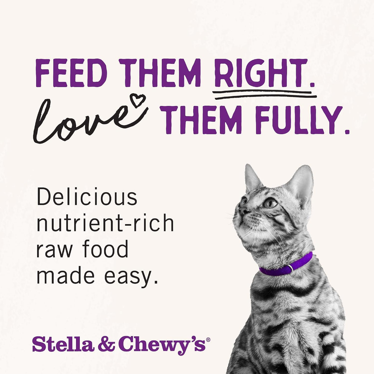 Stella & Chewy's Freeze-Dried Raw Cat Dinner Morsels - Premium Chicken Recipe with 98% Cage-Free Meat & Organs - Natural Grain-Free Cat & Kitten Food - Made in USA - 1 oz (Pack of 12)